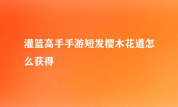 灌篮高手手游短发樱木花道怎么获得