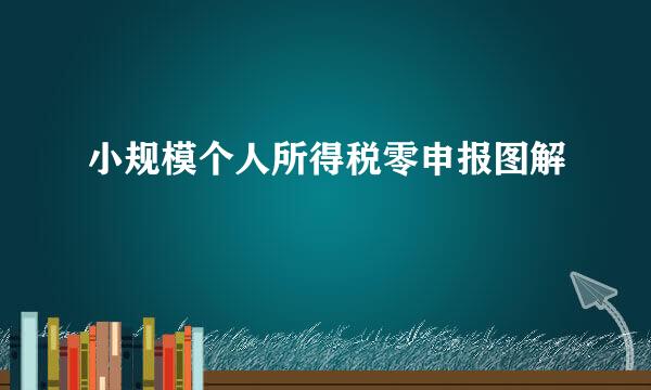 小规模个人所得税零申报图解