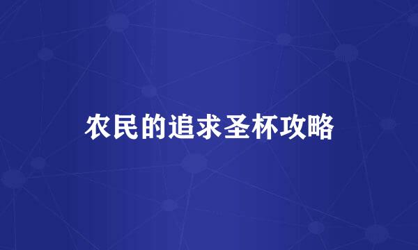 农民的追求圣杯攻略