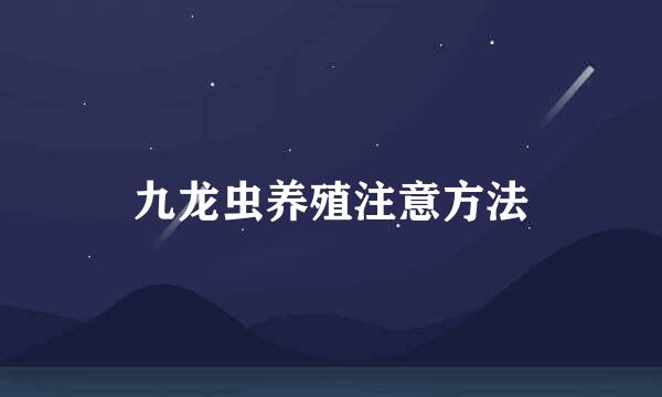 九龙虫养殖注意方法