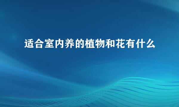 适合室内养的植物和花有什么