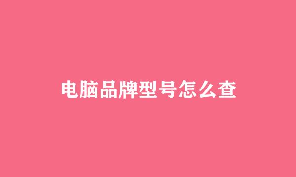 电脑品牌型号怎么查