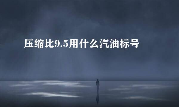 压缩比9.5用什么汽油标号
