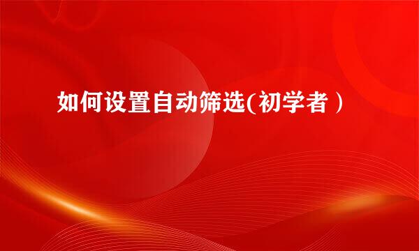 如何设置自动筛选(初学者)
