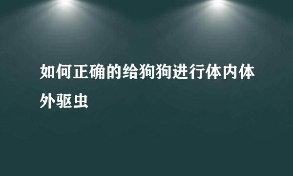 如何正确的给狗狗进行体内体外驱虫