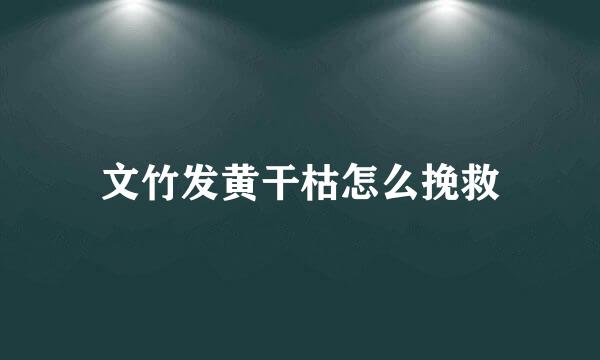 文竹发黄干枯怎么挽救