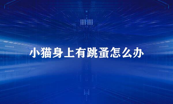小猫身上有跳蚤怎么办