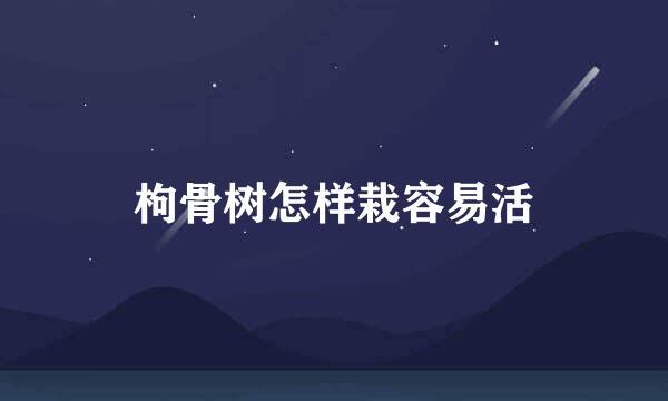 枸骨树怎样栽容易活