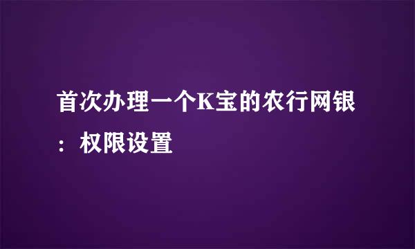 首次办理一个K宝的农行网银：权限设置