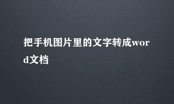 把手机图片里的文字转成word文档
