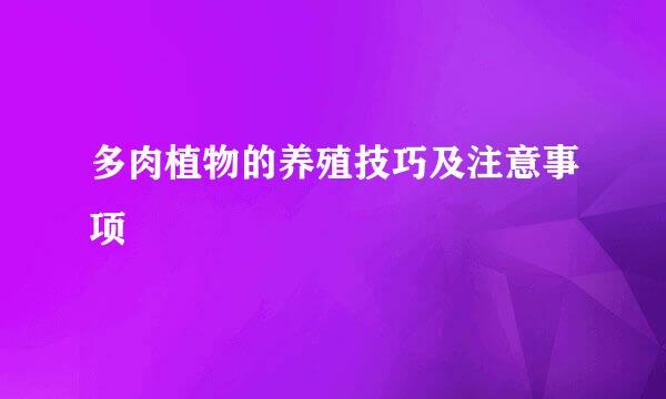 多肉植物的养殖技巧及注意事项