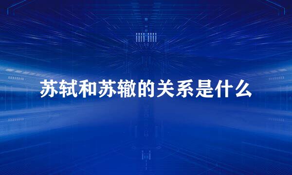 苏轼和苏辙的关系是什么