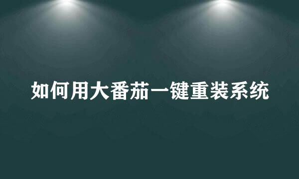 如何用大番茄一键重装系统