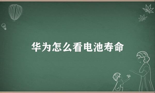 华为怎么看电池寿命