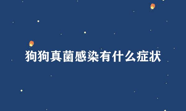 狗狗真菌感染有什么症状