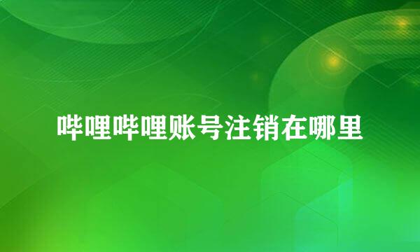哔哩哔哩账号注销在哪里