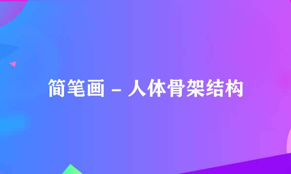 简笔画 - 人体骨架结构