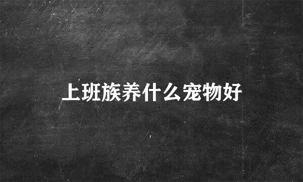 上班族养什么宠物好
