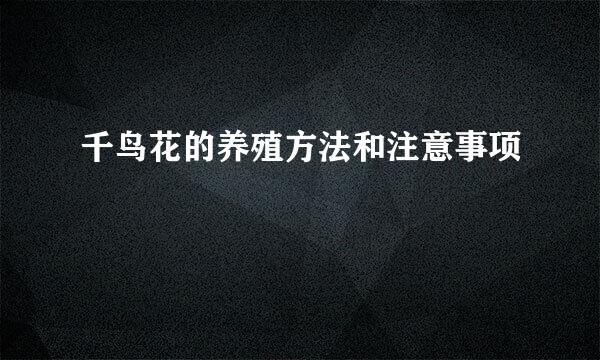 千鸟花的养殖方法和注意事项