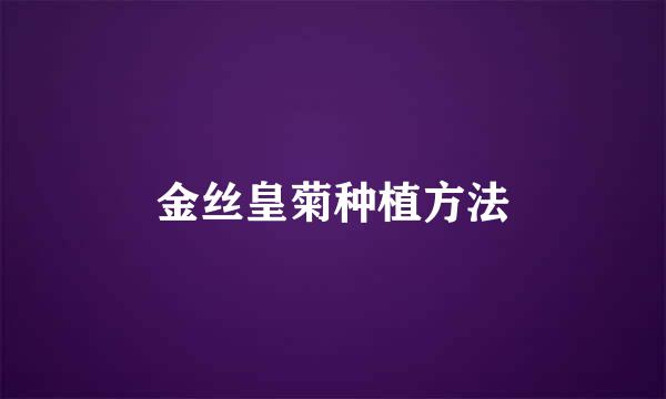 金丝皇菊种植方法