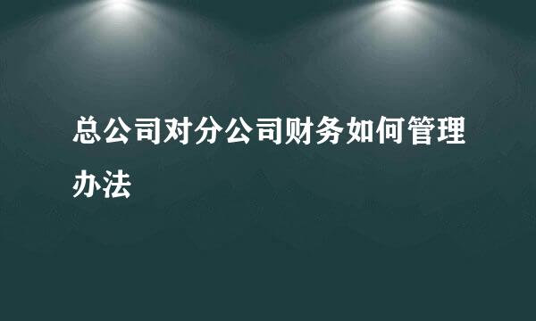 总公司对分公司财务如何管理办法