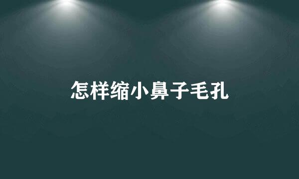 怎样缩小鼻子毛孔