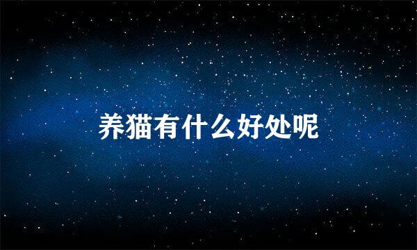 养猫有什么好处呢