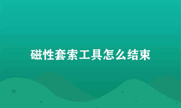 磁性套索工具怎么结束