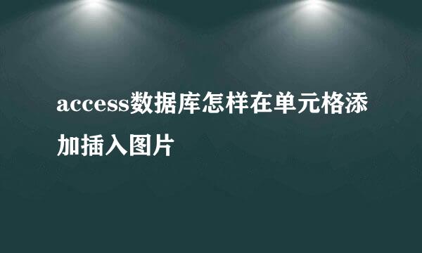 access数据库怎样在单元格添加插入图片