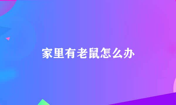 家里有老鼠怎么办