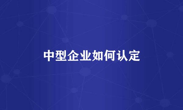 中型企业如何认定