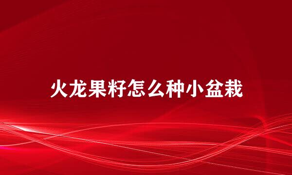 火龙果籽怎么种小盆栽
