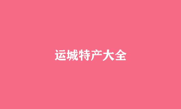 运城特产大全