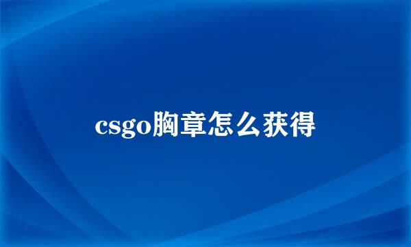 csgo胸章怎么获得