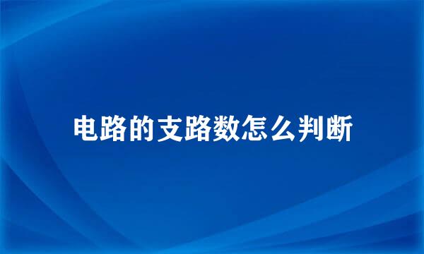 电路的支路数怎么判断