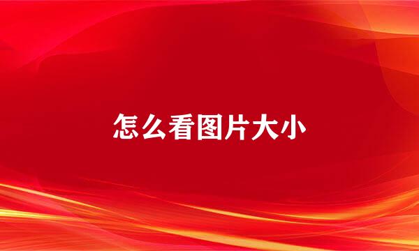 怎么看图片大小