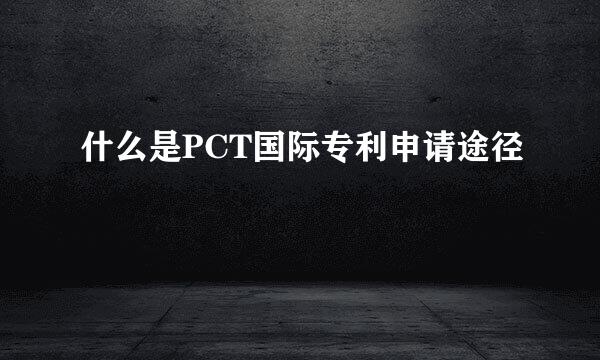 什么是PCT国际专利申请途径