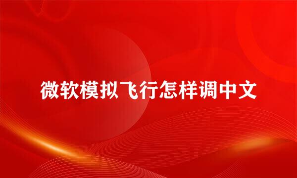 微软模拟飞行怎样调中文