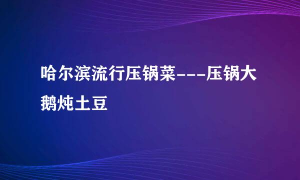 哈尔滨流行压锅菜---压锅大鹅炖土豆