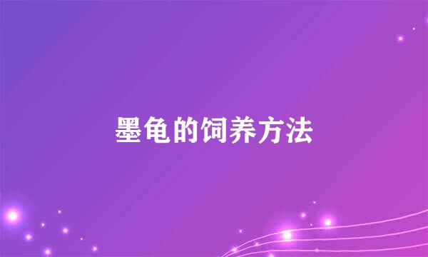 墨龟的饲养方法