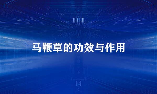马鞭草的功效与作用