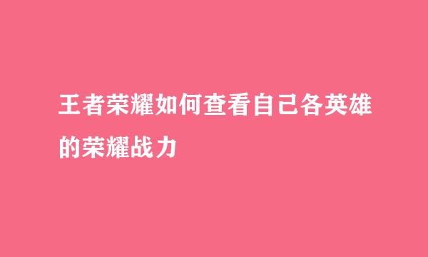 王者荣耀如何查看自己各英雄的荣耀战力