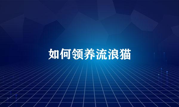 如何领养流浪猫