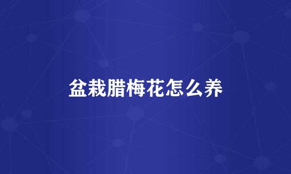 盆栽腊梅花怎么养