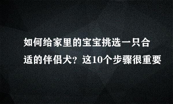 如何给家里的宝宝挑选一只合适的伴侣犬？这10个步骤很重要