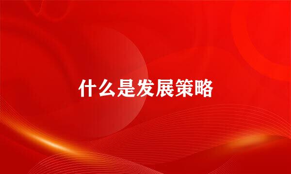 什么是发展策略