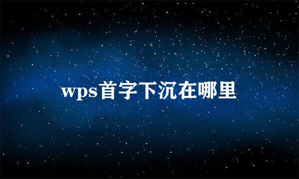 wps首字下沉在哪里