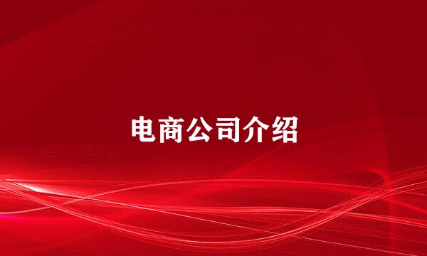 电商公司介绍