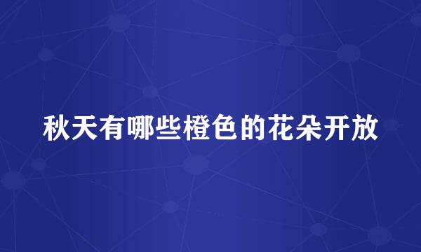 秋天有哪些橙色的花朵开放