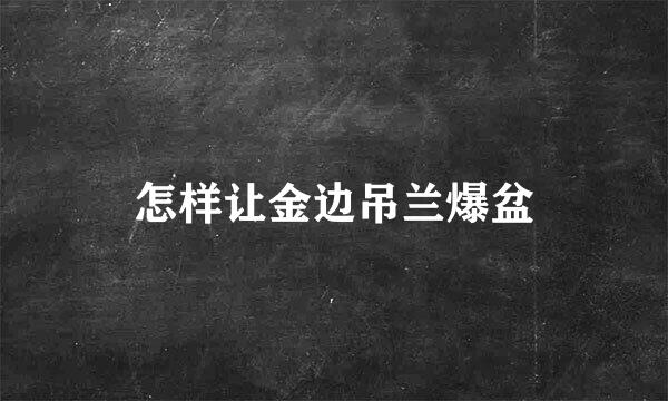 怎样让金边吊兰爆盆